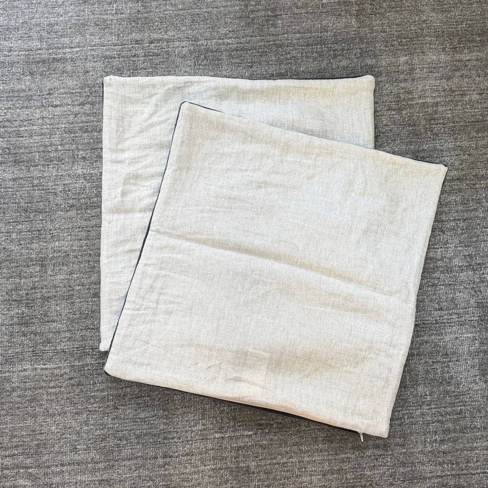 Two Matching Accent Pillowcases 20x20”